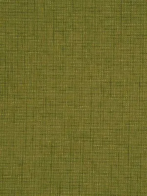 Cadiz - Lime