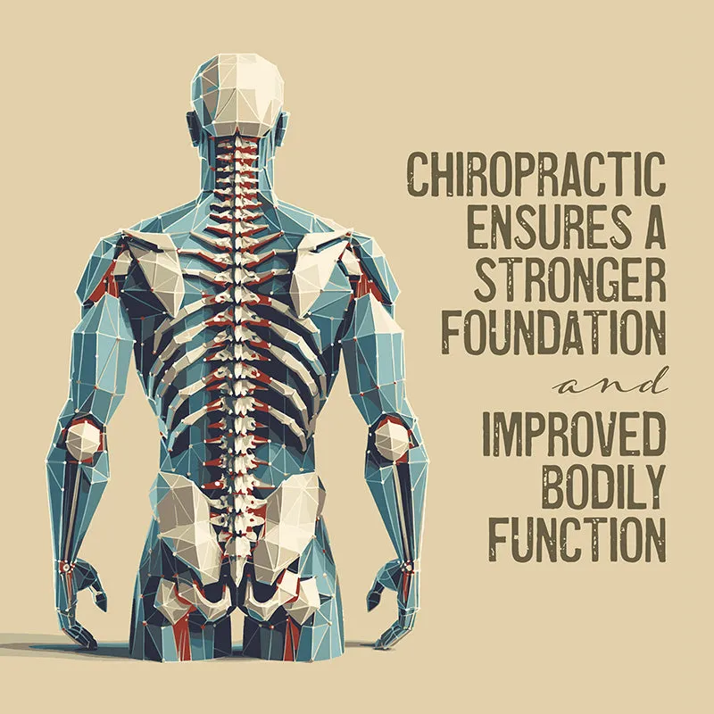 Chiropractic Foundation and Function