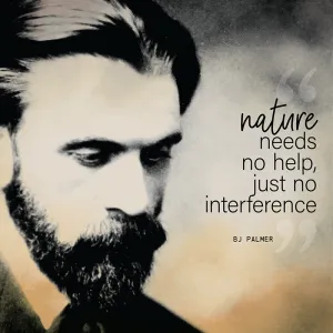 Chiropractic Founder - BJ Palmer