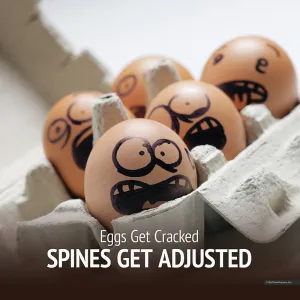 Eggs Get Cracked, Spines Get Adjusted