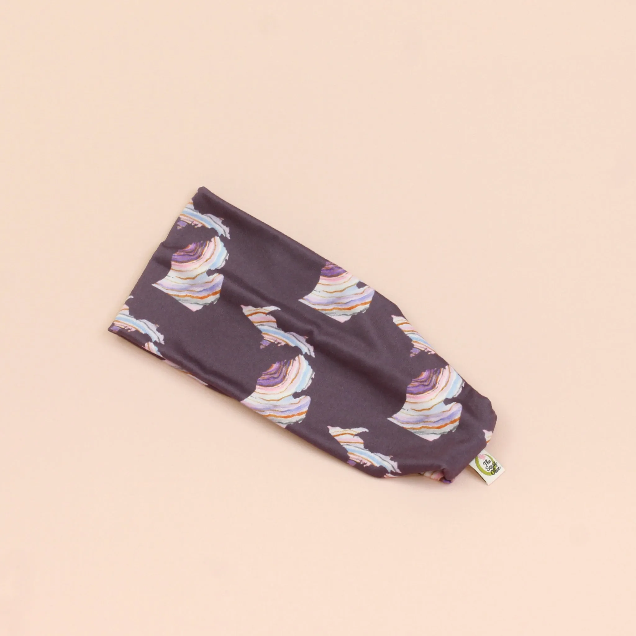 Fresh Superior Michigan Stretch Headband