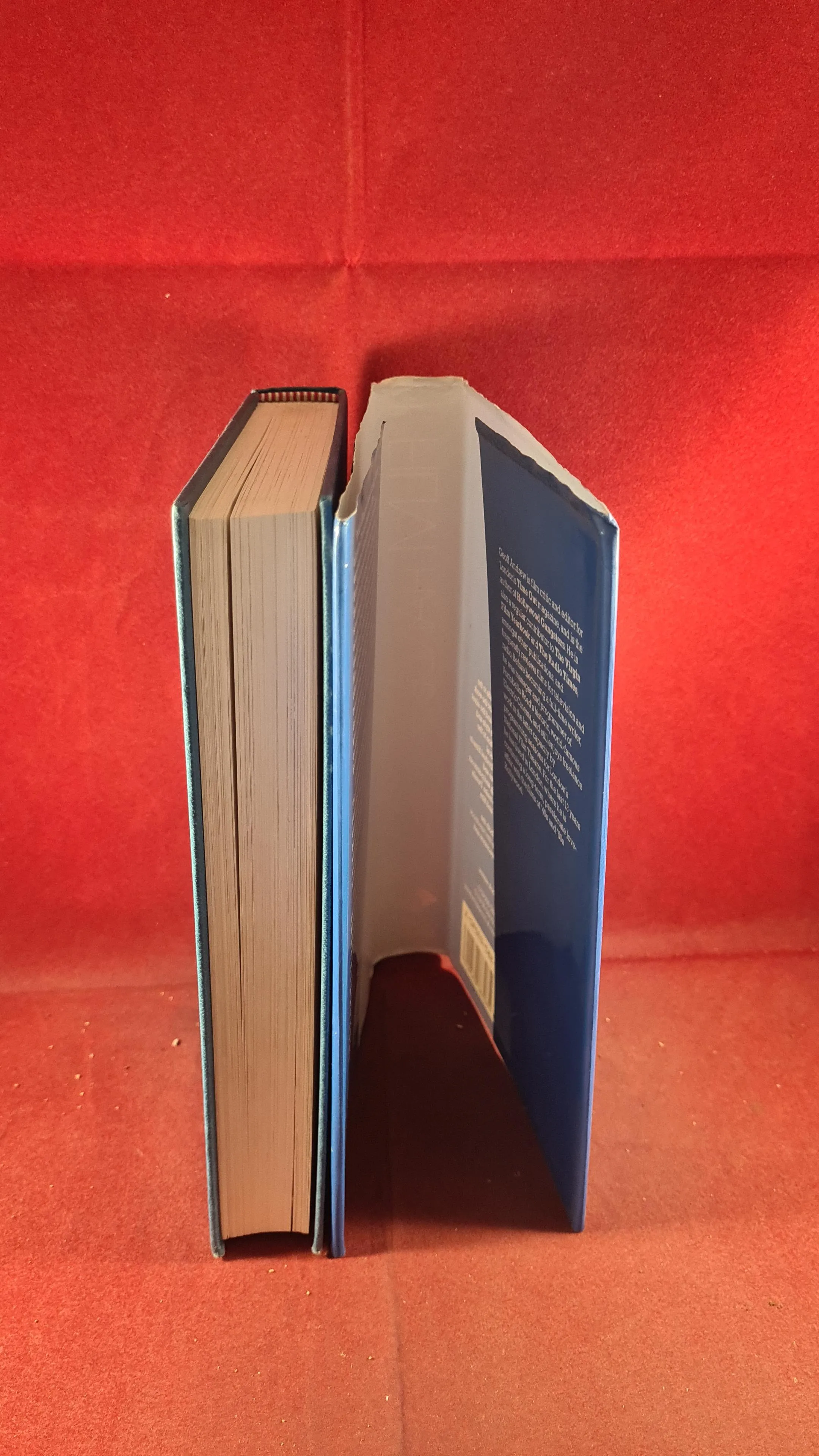 Geoff Andrew - The Film Handbook, Longman, 1989