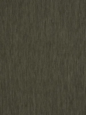 Ghent - Bark