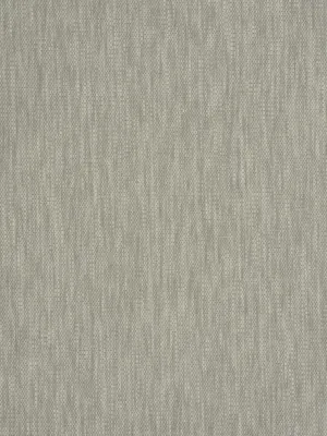 Ghent - Fossil