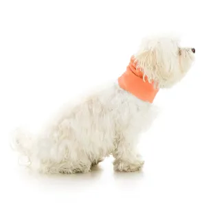 Gooby Stretch Snood