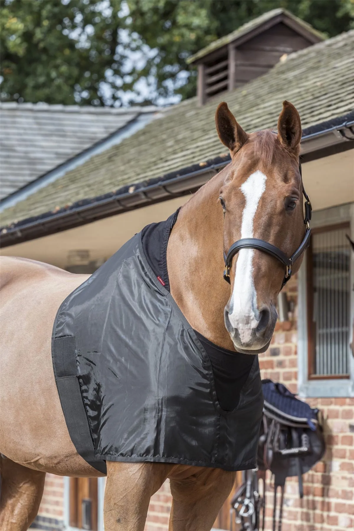 LeMieux Anti Rub Bib