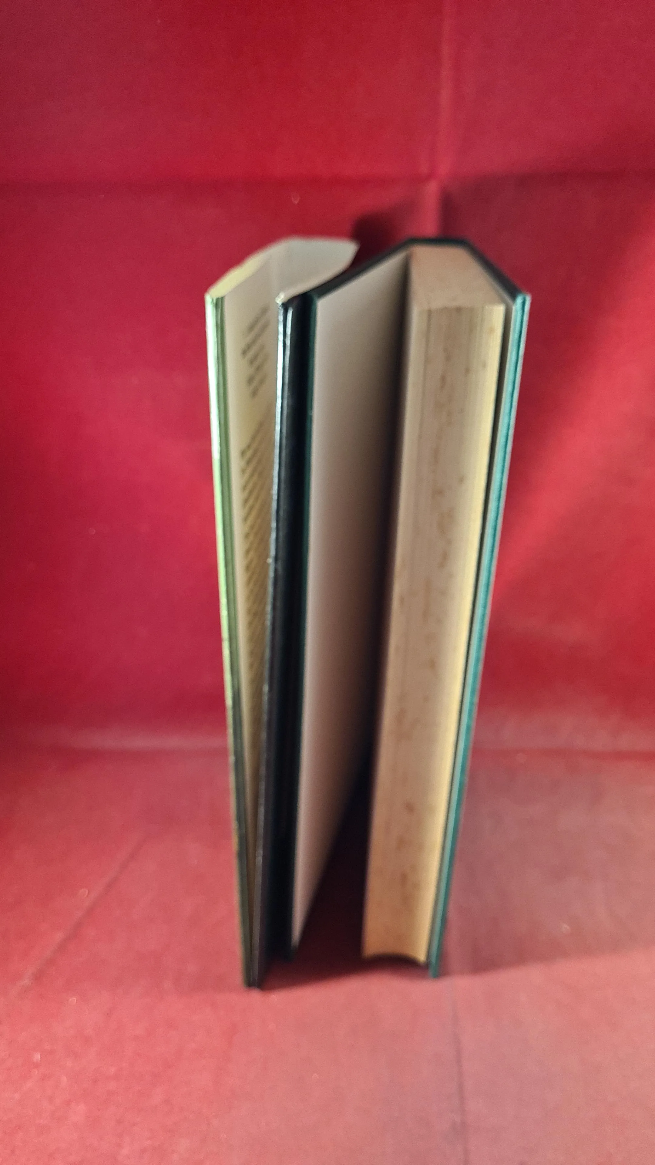 Martin Fido - Jack The Ripper, Weidenfeld, 1987, First Edition