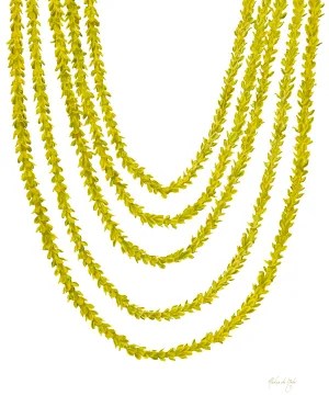 Pakalana