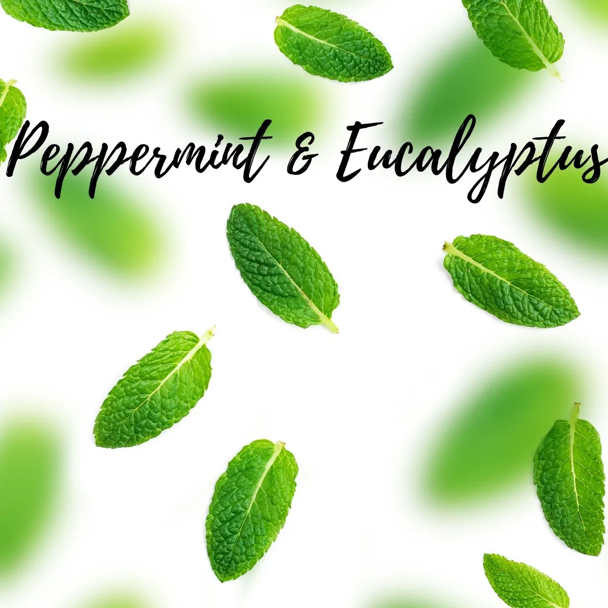 Peppermint & Eucalyptus
