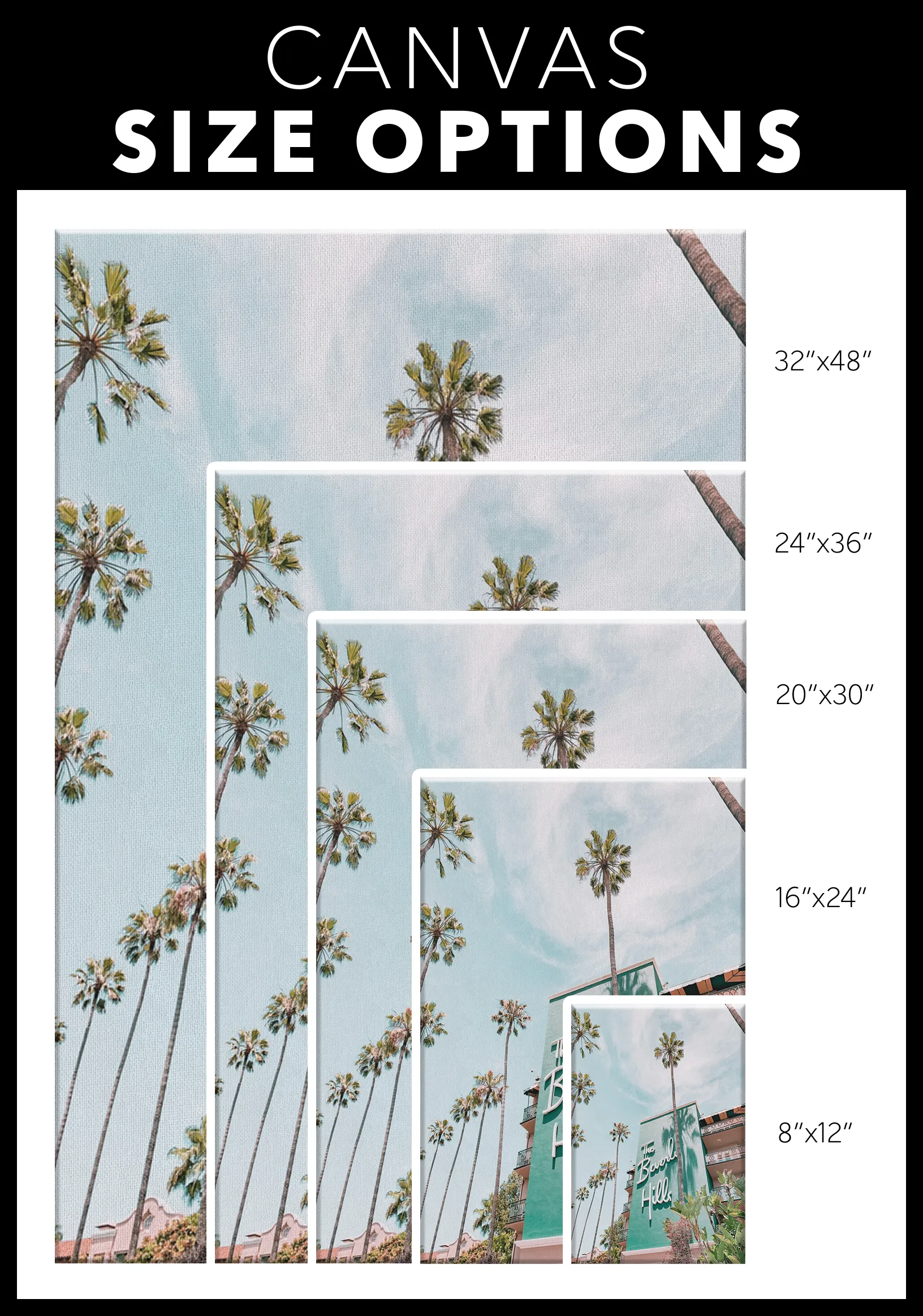 The Beverly Hills