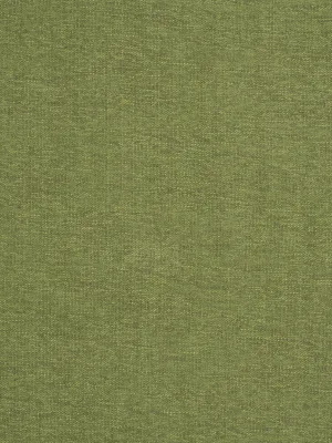 Yoko - Fern
