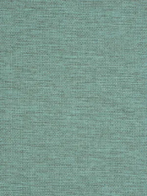 Zuma - Dragonfly
